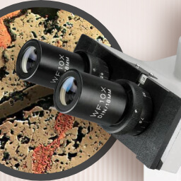 How Does A Metallurgical Microscope Work?