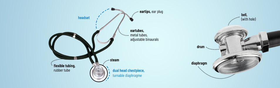 parts of stethoscope