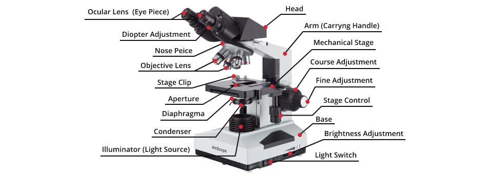 parts of microscope amscope