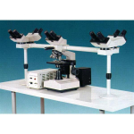Binocular Microscope 40X-2500X 20W LightD500C