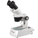 10-60X Microscope with Angled Head, Metal Stand