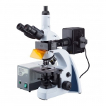 40X-1000X Fluorescence Microscope