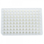96 Well Non-Skirted PCR Plate, 0.2ml Clear