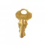 Cabinet Spare Key for 180-XXXX-XX Series_noscript