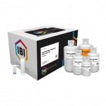 Gel Extraction and PCR Cleanup Kit