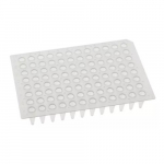 PCR Plate No Skirt, 0.2mL