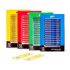 Due Esemplari Di Bradipo Didattilo O Colepo Di Hoffmann, Madre E Figlio - Foto 3