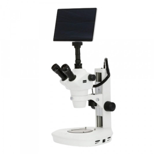 Buy AmScope SF-2TRA-TP2, 8X-50X Dual-Illumination Stereo Microscope ...