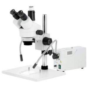 AmScope Levert 10X-60X Sieraden Gem Trinoculaire Stereo Microscoop met Drie Lich