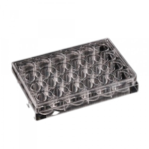 Nest Scientific 24 Well Cell Culture Plate - Flat Bottom Tissue Culture Treated Sterile Polystyrene