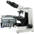 AmScope, B600A-PCT