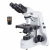 Additional image #1 for AmScope B660A-E