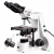 AmScope, B690-PL-DK