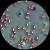 Additional image #5 for AmScope B690C-PCT-3MBI