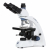 AmScope, BB1153-PL