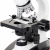 Additional image #2 for AmScope D130A-TP