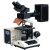 AmScope, FM200BC-5MBI