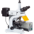 Additional image #1 for AmScope FM820T-MF603