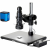 Additional image #1 for AmScope H800-96S-AF25