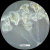 Additional image #6 for AmScope IN200TA-P