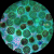 Additional image #5 for AmScope IN200TB-14M