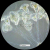 Additional image #6 for AmScope IN200TB-14M