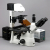 Additional image #1 for AmScope IN480T-FL-3MG3