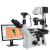 AmScope, IN480T-FL-MF1203