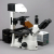 Additional image #2 for AmScope IN480T-FL-MF1203