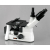 Additional image #1 for AmScope ME1400TB-10M