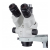 Additional image #1 for AmScope SM-3NTPX-FOR