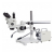 AmScope, SM-3NTPZZ-30WY