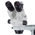 Additional image #2 for AmScope SM-4NTPX-FOR