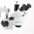 Additional image #1 for AmScope SM-4TP-FODR-5M