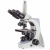 AmScope, T440QB-INF