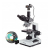 AmScope, T490A-M