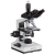 AmScope, T490A-PL-14M