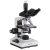 AmScope, T490A-PL-18M3