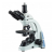 AmScope, T550