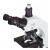 Additional image #6 for AmScope T610-IPL