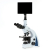 AmScope, T670Q-PL-TP