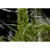 Additional image #11 for Zarbeco MISC-MP3-POLY-WUV-IRDUAL-c4