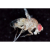 Additional image #12 for Zarbeco MISC-MP3-POLY-WUV-IRDUAL-c4
