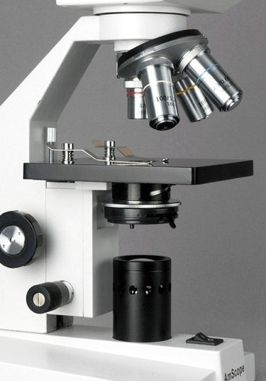 Buy AmScope B100C-SP14-CLS-50P100S-E1, 40X To 2500X Microscope, 1.3MP ...