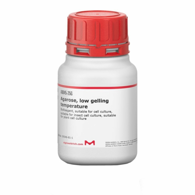Buy SigmaAldrich A904525G, Agarose, Low Gelling Temperature, 25G